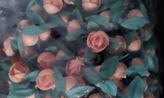 Trandafiri mari portocalii