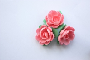 Flori vafa cu frunze